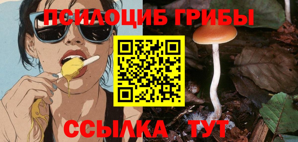 Галлюциногенные грибы мицелий Курганинск