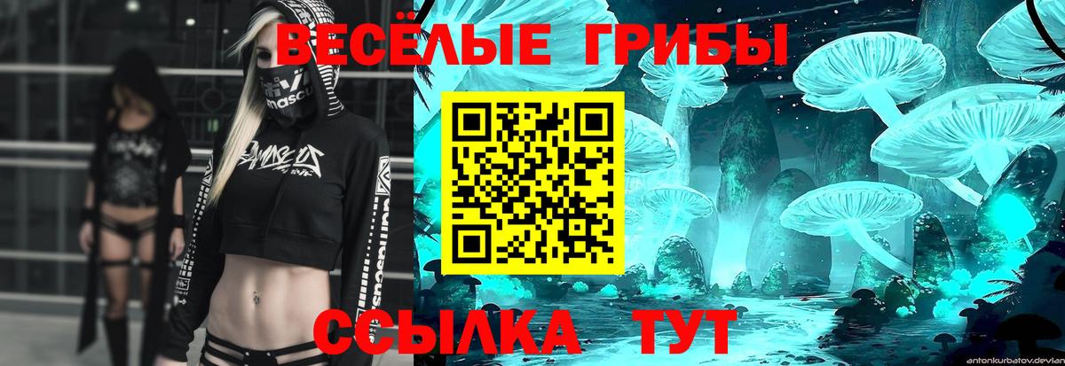 Курганинск  Галлюциногенные грибы Cubensis  Вход с VPN  где купить наркотик  Псилоцибиновые грибы ЛСД 