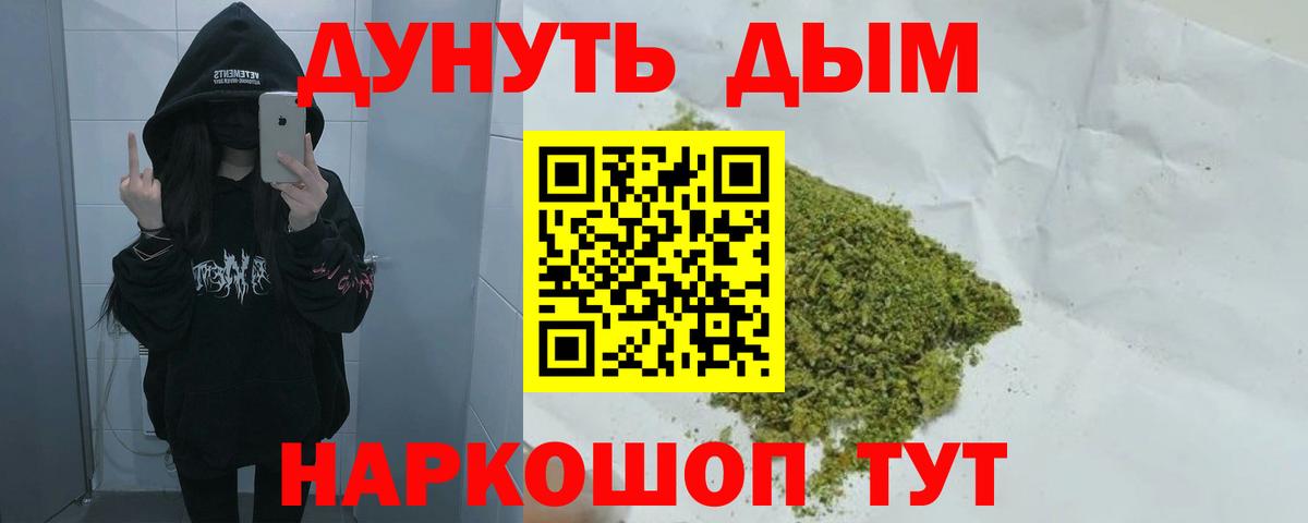 Канабис сатива Курганинск